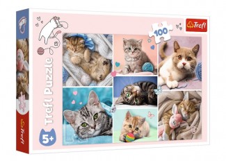 Пазл У світі котів, колаж, 100 ел.