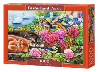 Пазл Ледача неділя, 1000 ел.